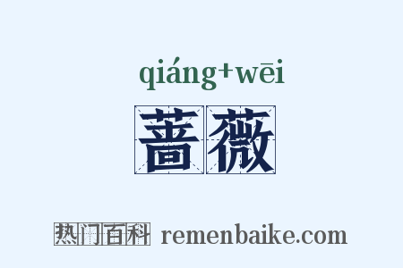 蔷薇是什么意思的图片